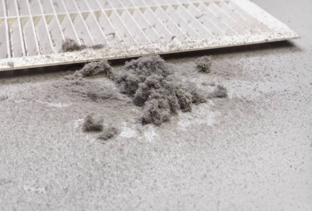 Best Air Vent Cleaning Services  in Hawkins, TX