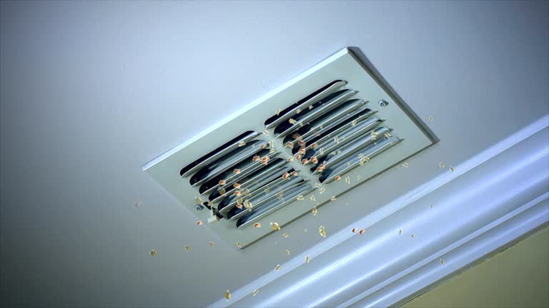Best Residential Air Duct Cleaning  in Hawkins, TX