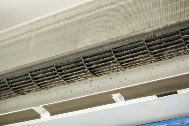 Best Local Air Duct Cleaning Services  in Hawkins, TX